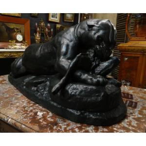 Great Panther Devouring A Hare