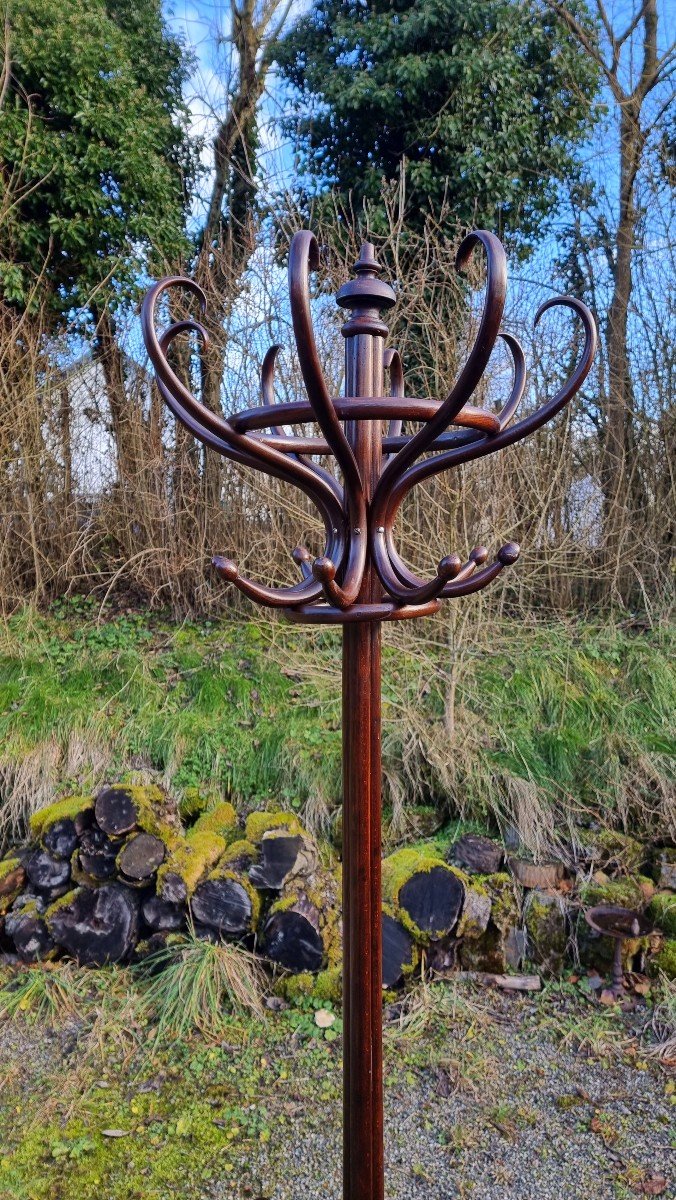 J&j Kohn N°2 Viennese Bistro Bentwood Parrot On Pedestal Late 19th Century Thonet-photo-2