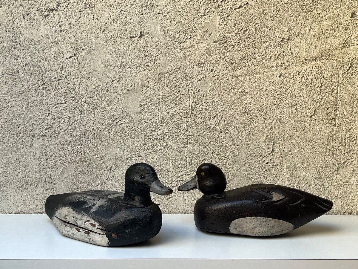 PAIRE DE "CANARDS APPELANTS"