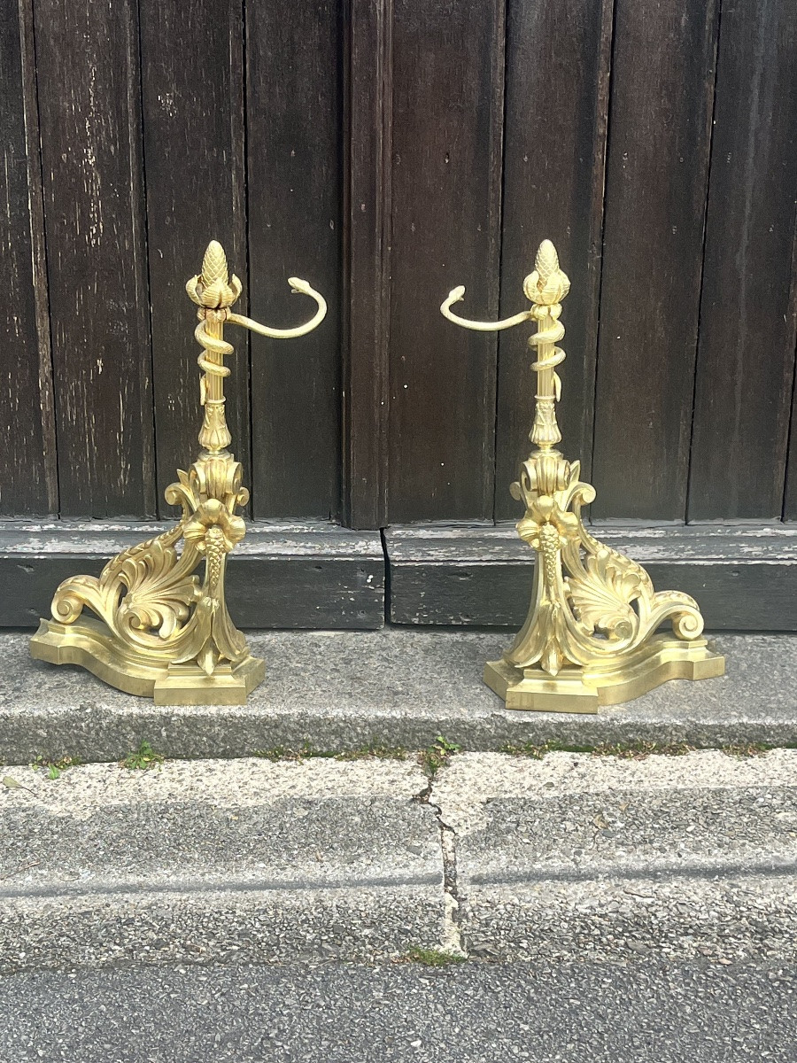 PAIRE DE CHENETS DE STYLE LOUIS XV EN RONZE, XIXe SIECLE-photo-3