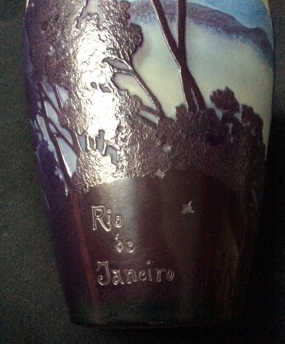 Vase Emile Gallé Rio De Janeiro -photo-4