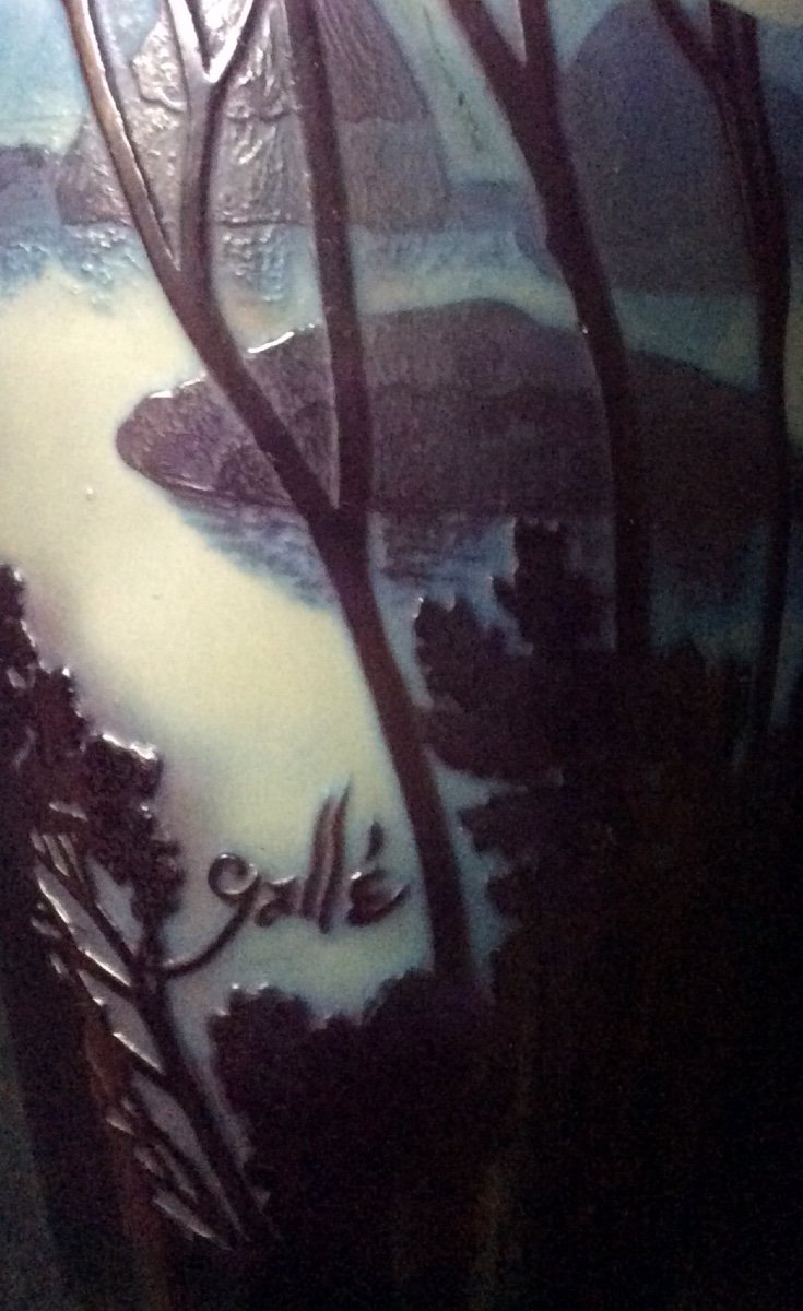 Vase Emile Gallé Rio De Janeiro -photo-4
