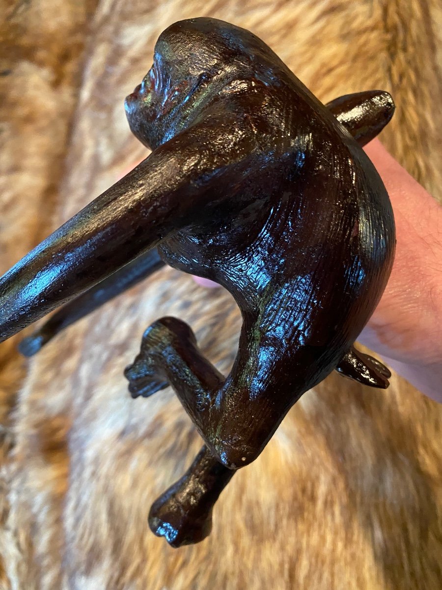 Japan, Meiji Era Spider Monkey In Lacquered Wood And Sulfide Eyes-photo-6