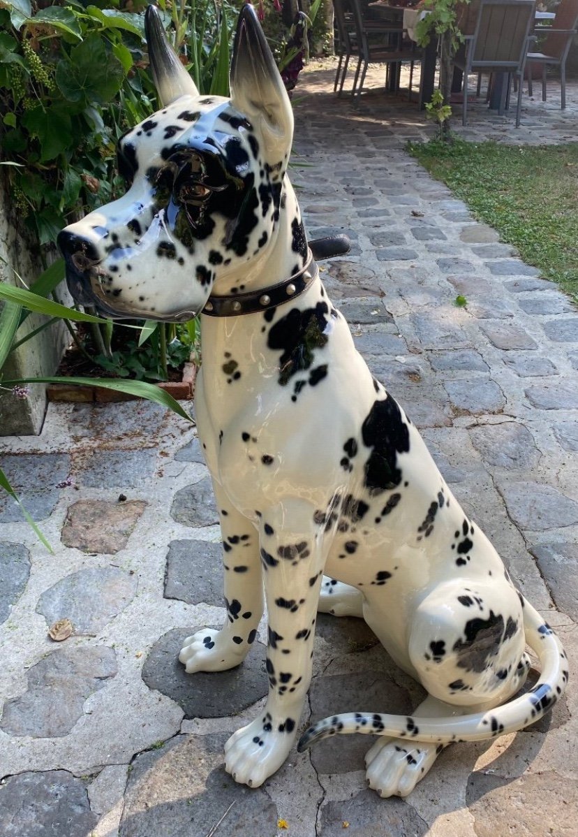 Superbe Dogue Arlequin échelle 1, En Céramique Des Années 60-photo-2