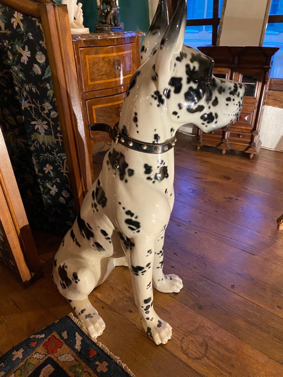 Superbe Dogue Arlequin échelle 1, En Céramique Des Années 60-photo-5