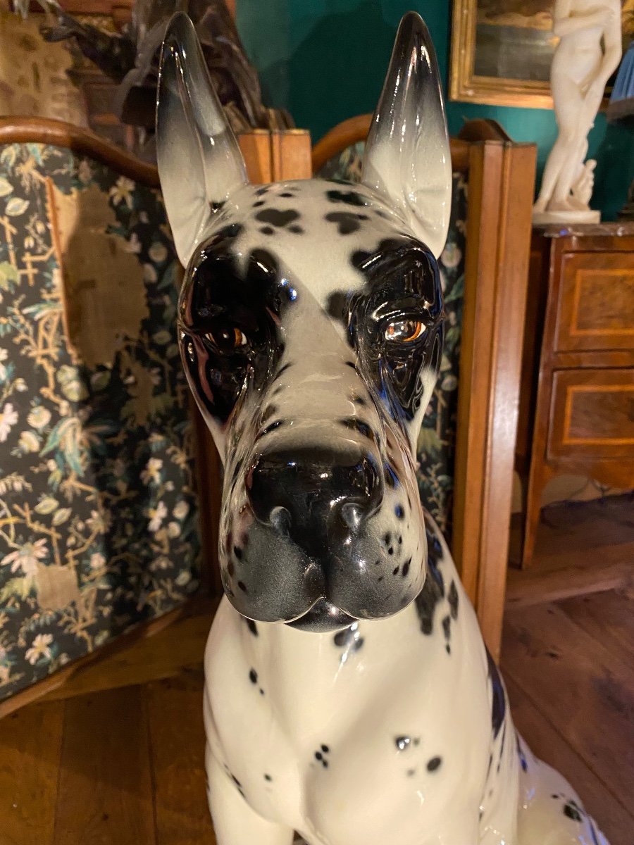 Superbe Dogue Arlequin échelle 1, En Céramique Des Années 60-photo-6