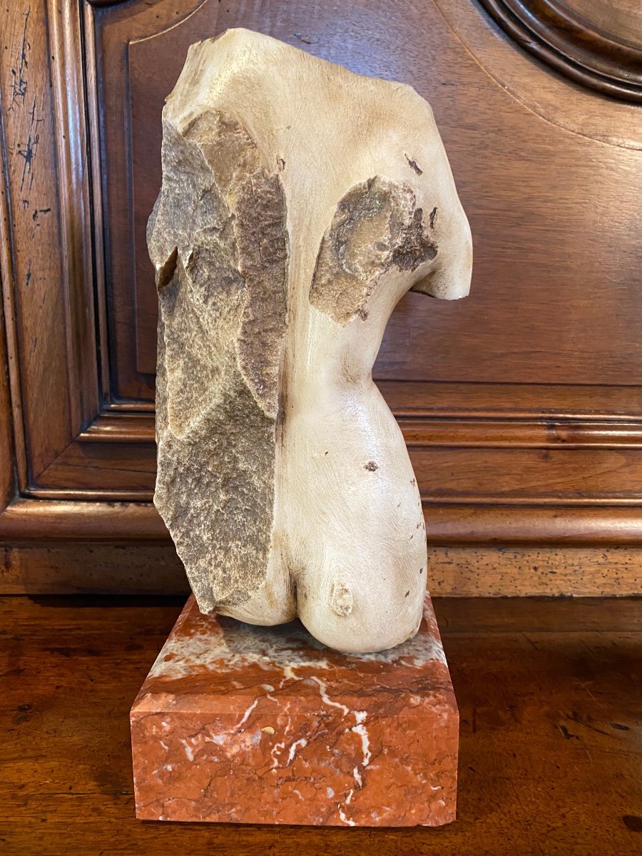 Torse Masculin Fragmentaire Dans Le Goût Des Antiques -photo-1