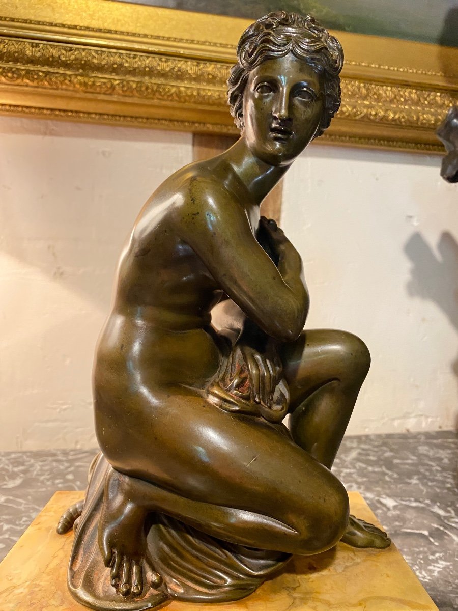 Venus à La Tortue, Bronze Du XIX Eme Siècle -photo-6