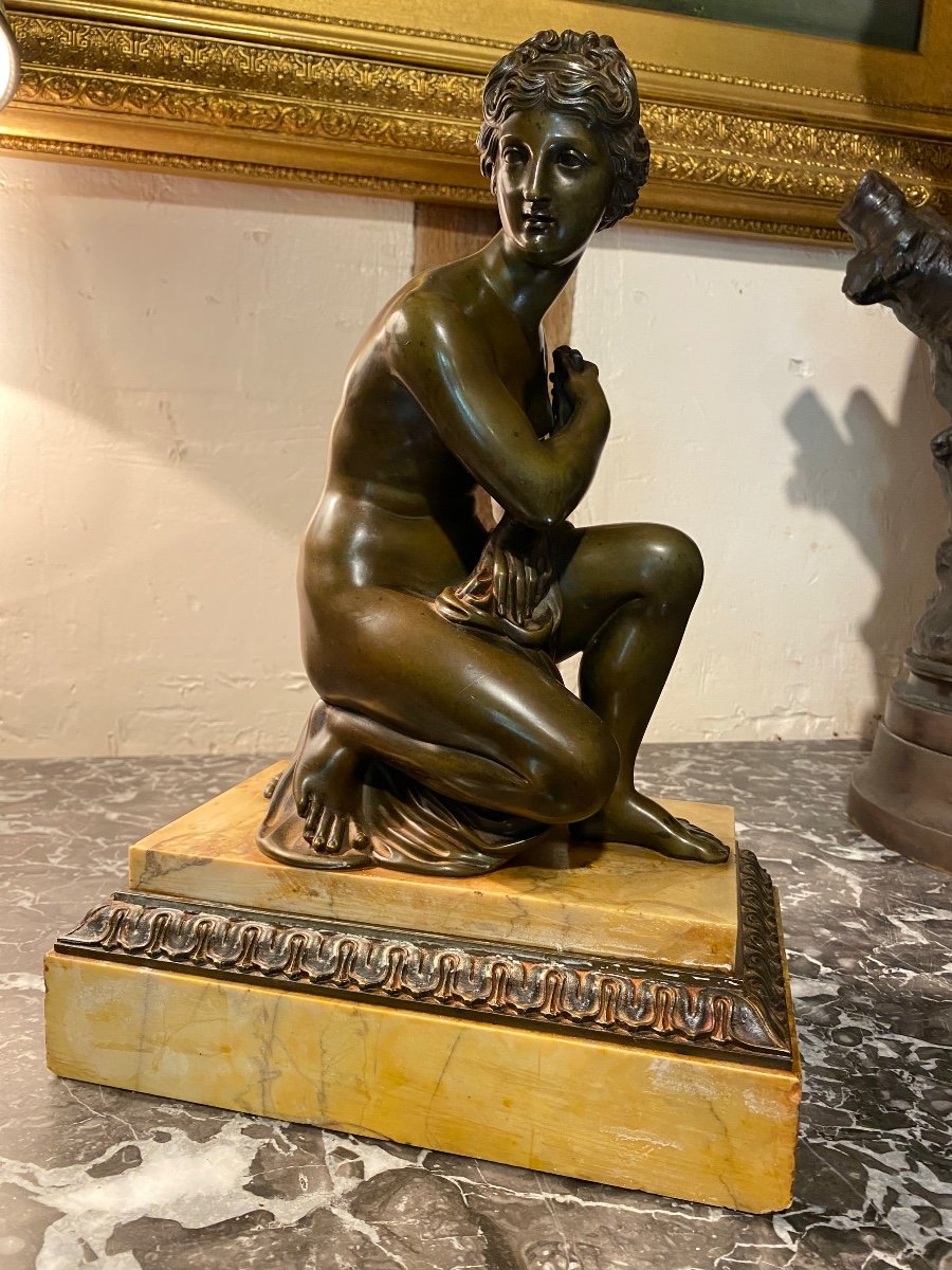 Venus à La Tortue, Bronze Du XIX Eme Siècle 