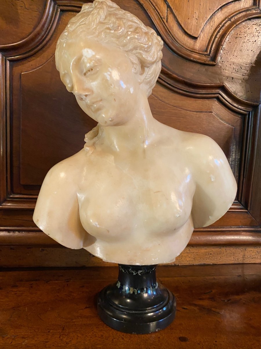Buste De Jeune Femme à L’antique, Marbre Du Grand Tour, XIX Eme Siècle -photo-3