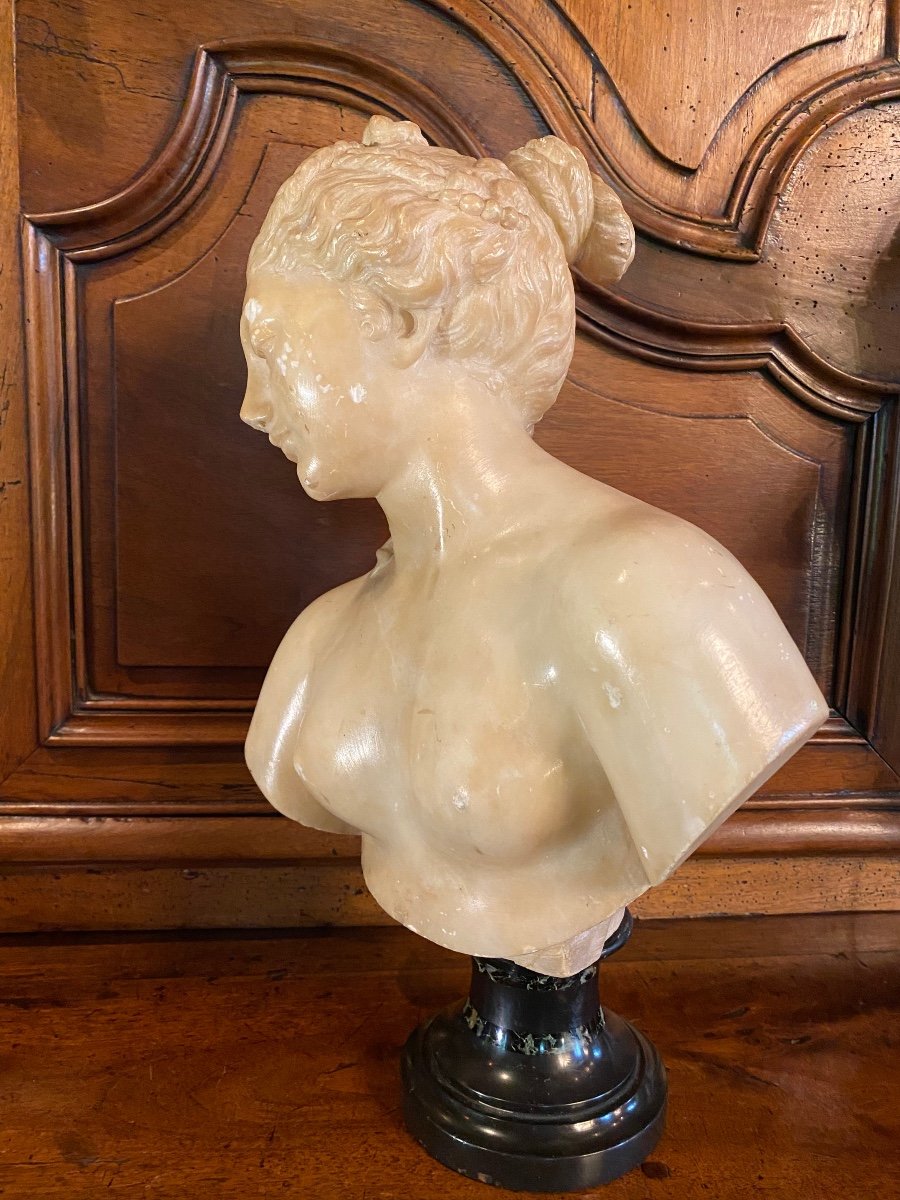 Buste De Jeune Femme à L’antique, Marbre Du Grand Tour, XIX Eme Siècle -photo-4