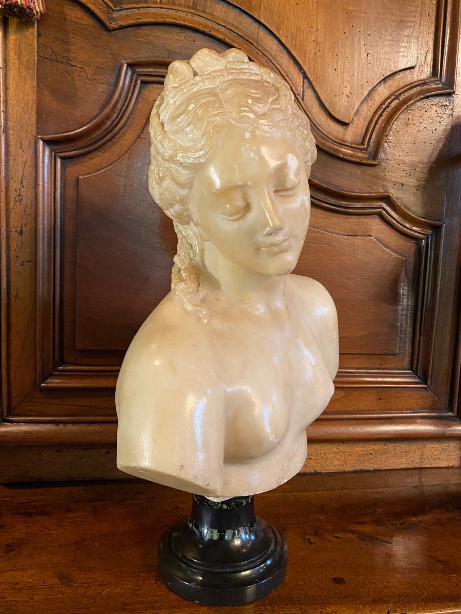 Buste De Jeune Femme à L’antique, Marbre Du Grand Tour, XIX Eme Siècle -photo-3