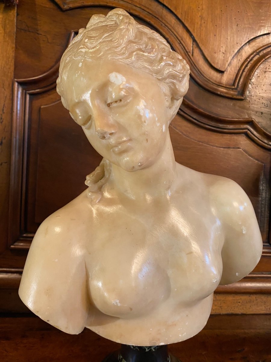 Buste De Jeune Femme à L’antique, Marbre Du Grand Tour, XIX Eme Siècle -photo-7