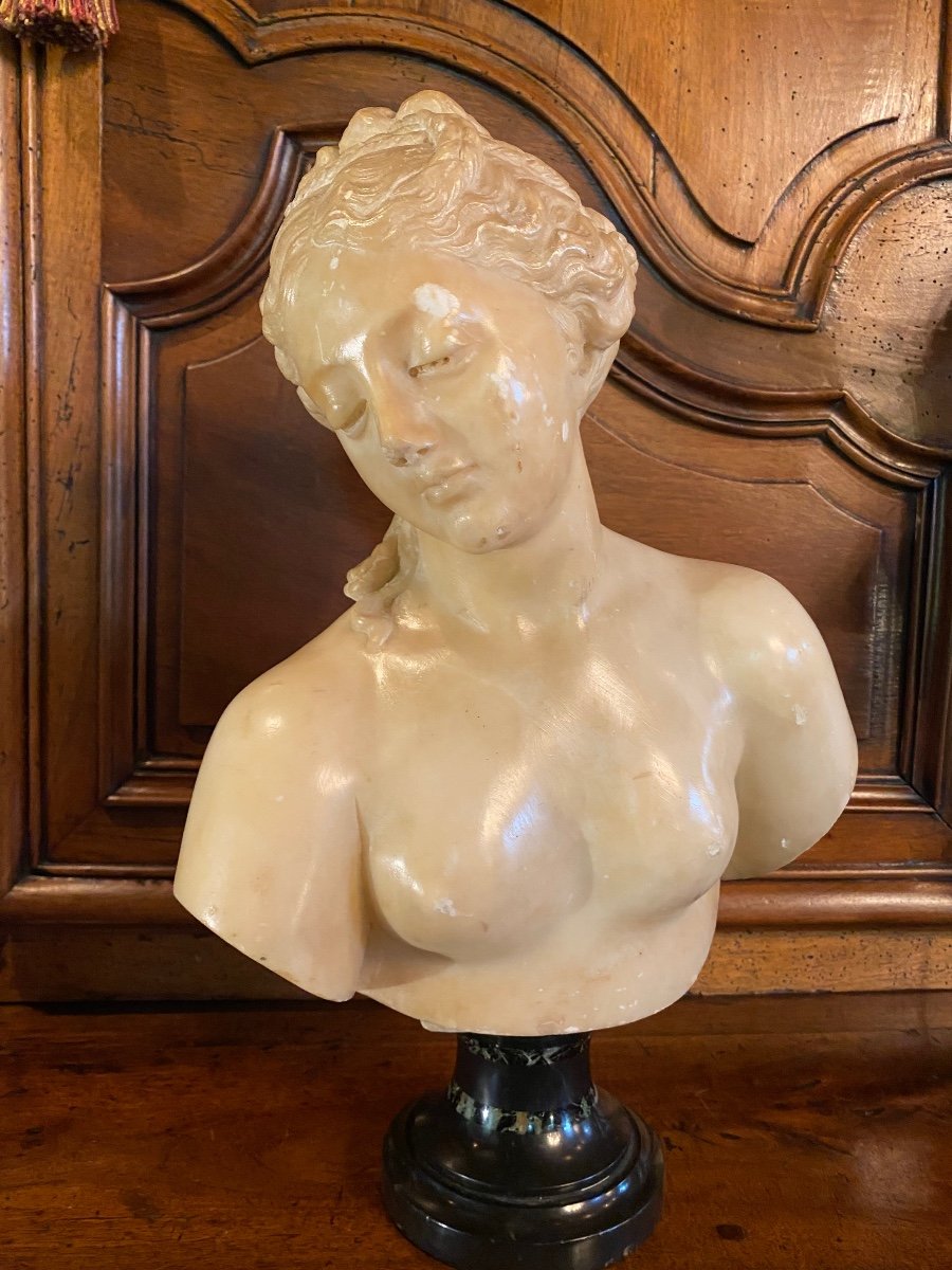 Buste De Jeune Femme à L’antique, Marbre Du Grand Tour, XIX Eme Siècle -photo-8