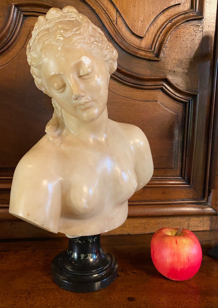 Buste De Jeune Femme à L’antique, Marbre Du Grand Tour, XIX Eme Siècle 