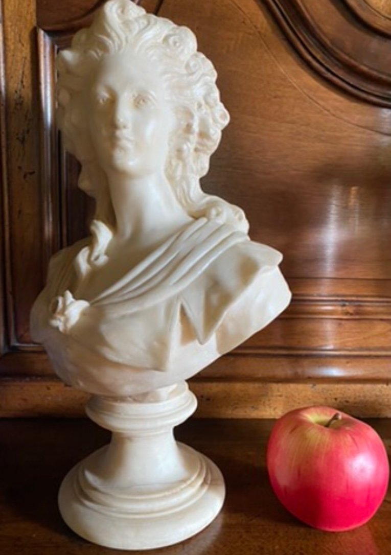 Beau Buste En Albâtre : Mme Elizabeth Sœur De Louis XVI -photo-2