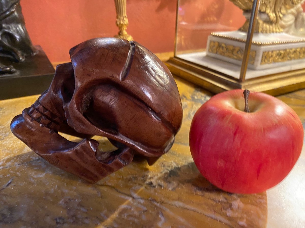 Solid Walnut Skull Early 20th Century, Vanity, Memento Mori-photo-2