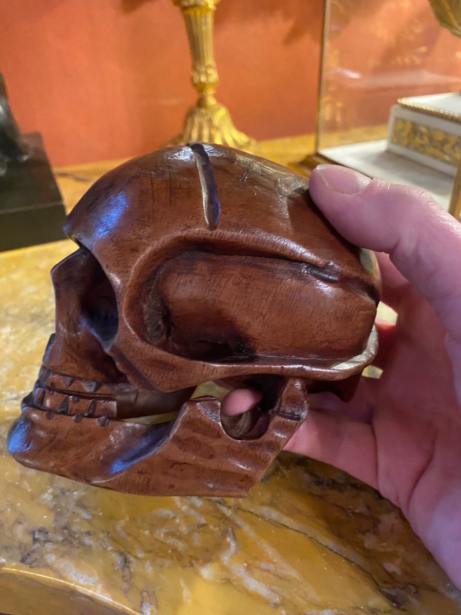 Solid Walnut Skull Early 20th Century, Vanity, Memento Mori-photo-6