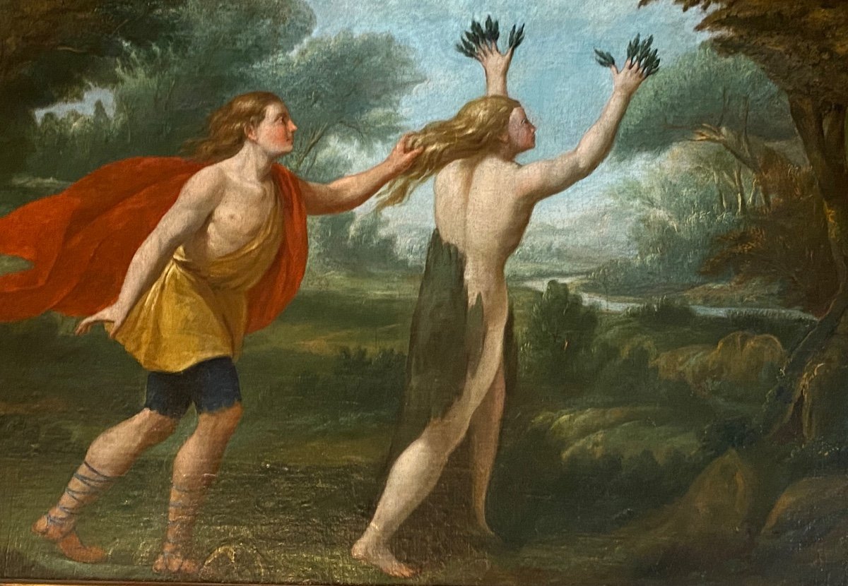 Apollo And Daphne Oil On Canvas From The End Of The 17th Century After Ovid's Metamorphoses-photo-4