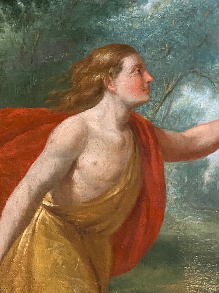 Apollo And Daphne Oil On Canvas From The End Of The 17th Century After Ovid's Metamorphoses-photo-3