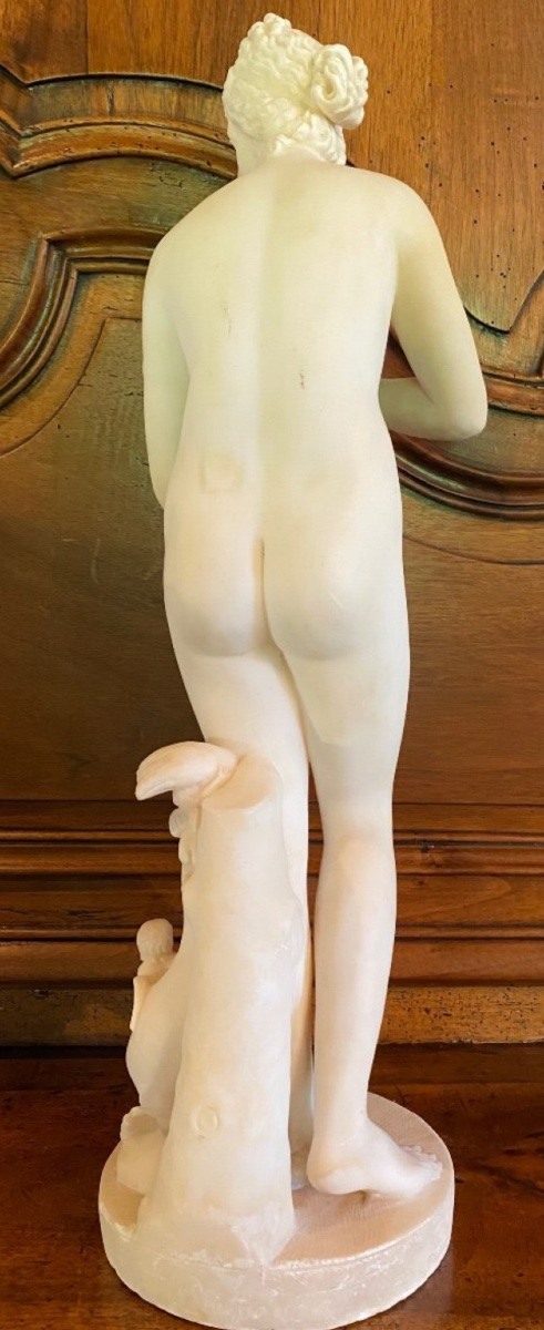 Large Medici Venus In White Marble From The 19th Century -photo-4
