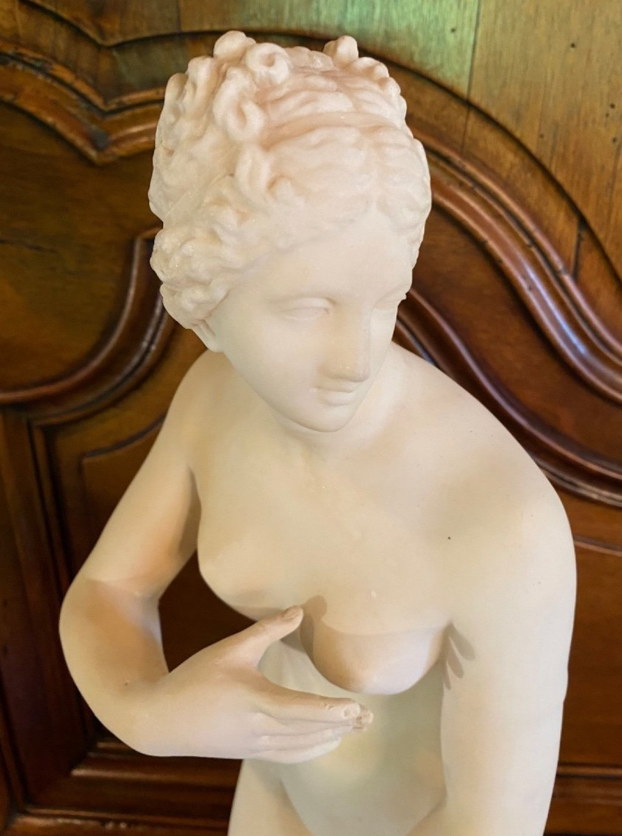 Large Medici Venus In White Marble From The 19th Century -photo-5