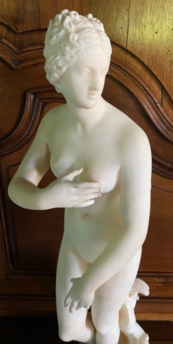 Large Medici Venus In White Marble From The 19th Century -photo-8