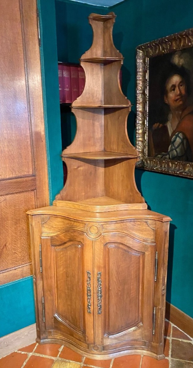 19th Century Curved Walnut Corner Cabinet In Louis XV Style-photo-3
