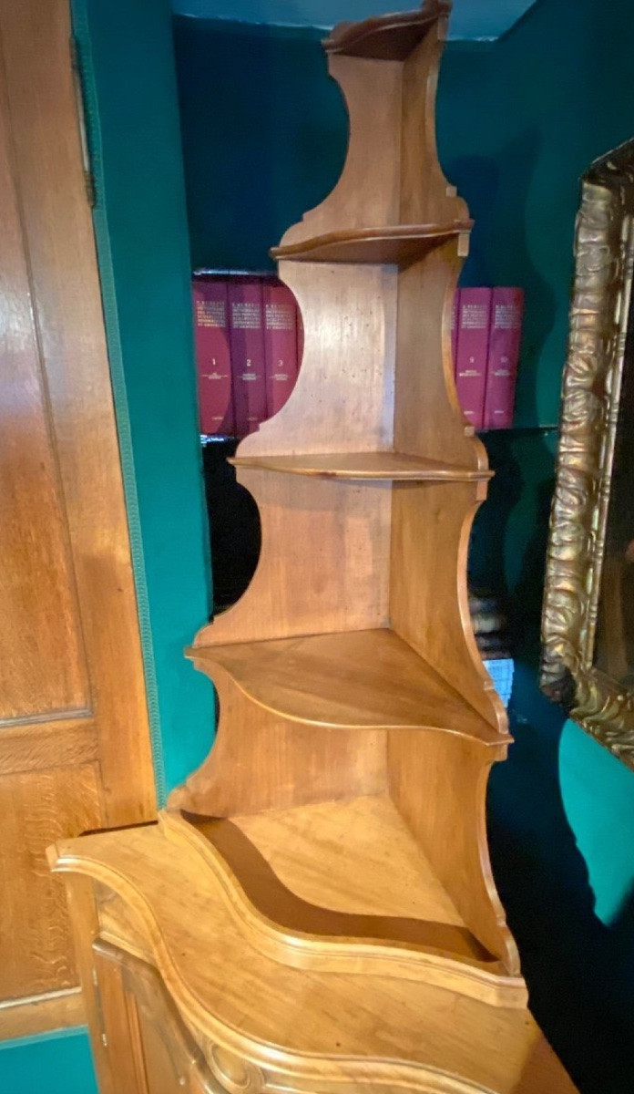 19th Century Curved Walnut Corner Cabinet In Louis XV Style-photo-5