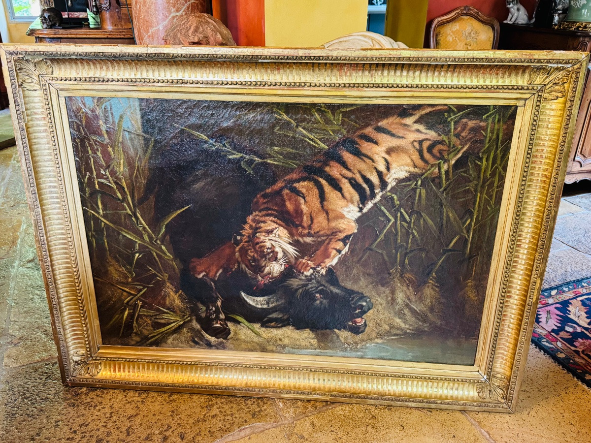 Buffle attaqué par un tigre, imposant tableau naturaliste du XIX eme siècle -photo-3
