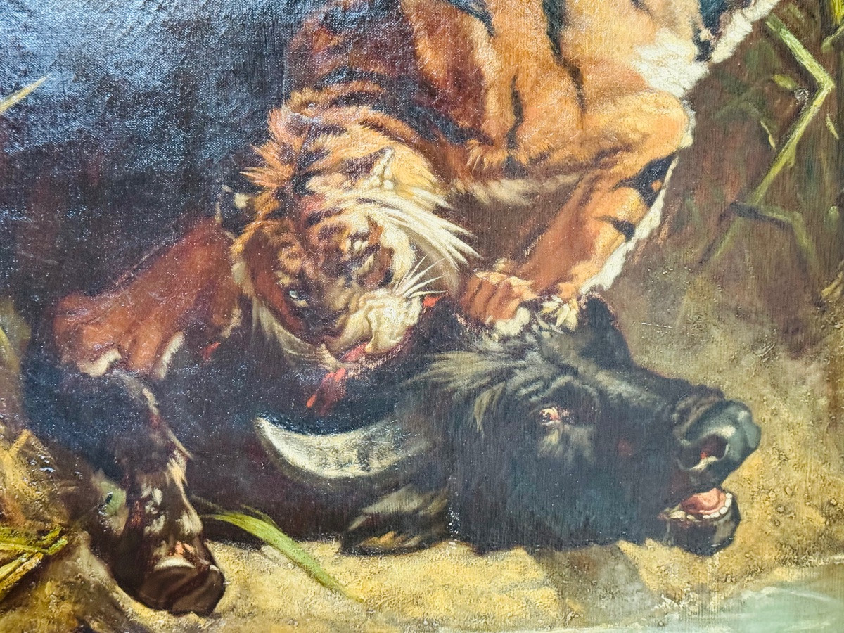 Buffle attaqué par un tigre, imposant tableau naturaliste du XIX eme siècle -photo-4