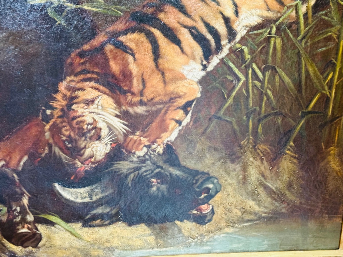 Buffle attaqué par un tigre, imposant tableau naturaliste du XIX eme siècle -photo-3