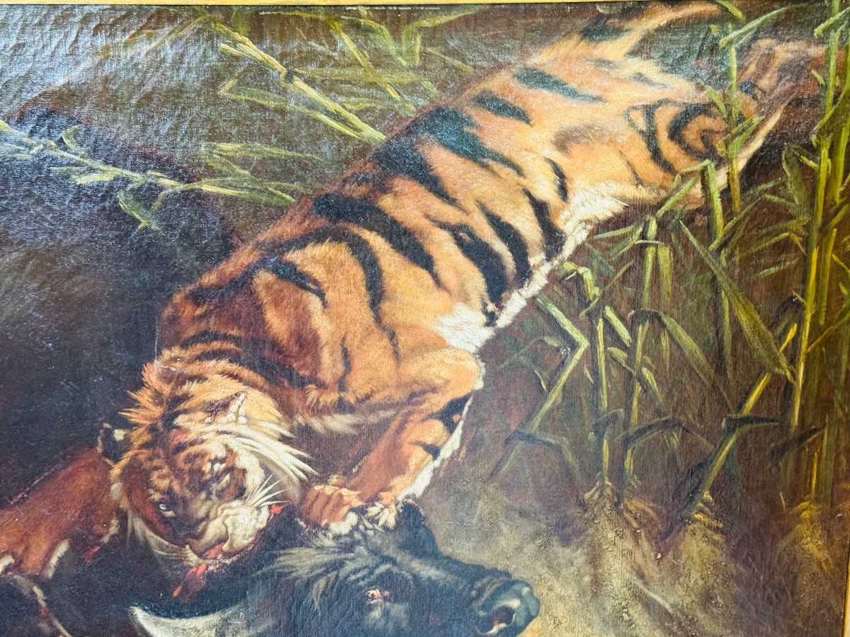 Buffle attaqué par un tigre, imposant tableau naturaliste du XIX eme siècle -photo-4