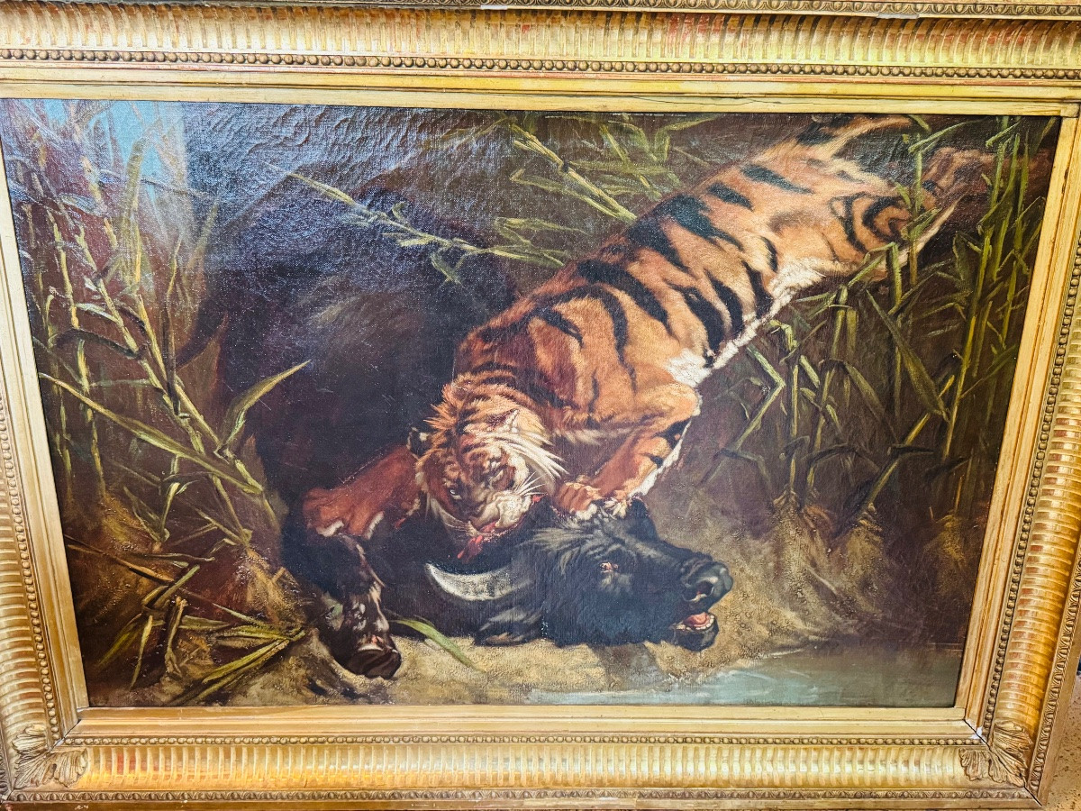 Buffle attaqué par un tigre, imposant tableau naturaliste du XIX eme siècle -photo-5