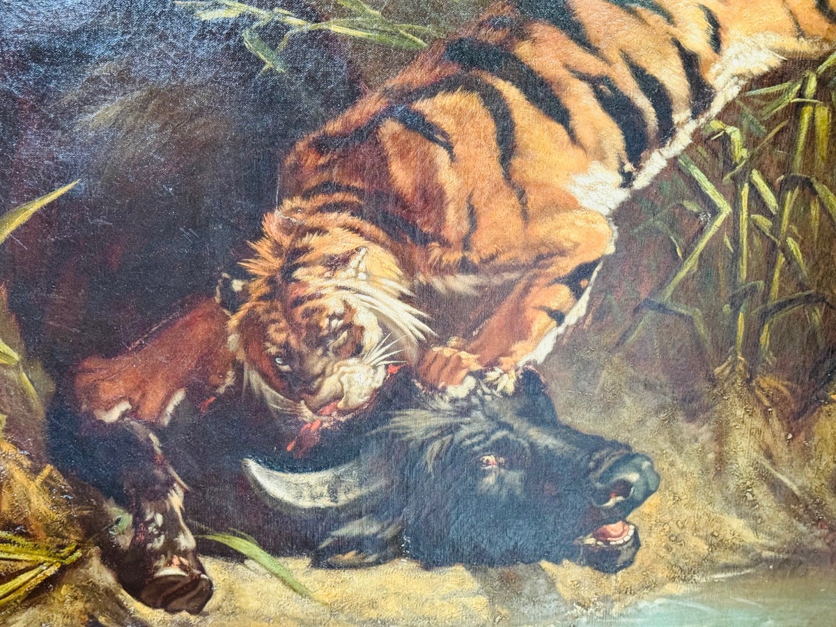 Buffle attaqué par un tigre, imposant tableau naturaliste du XIX eme siècle -photo-7