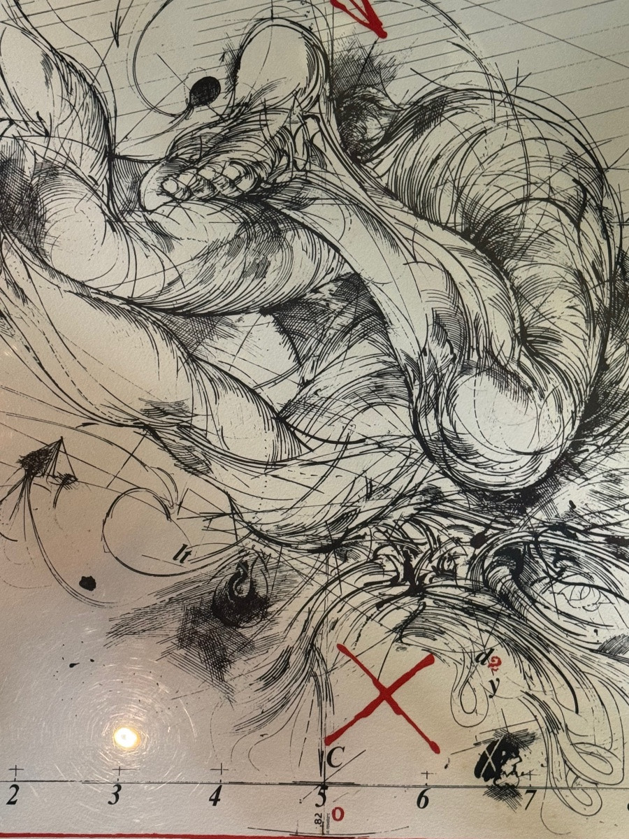 Grande lithographie de Vladimir Velickovic signée et datée -photo-2