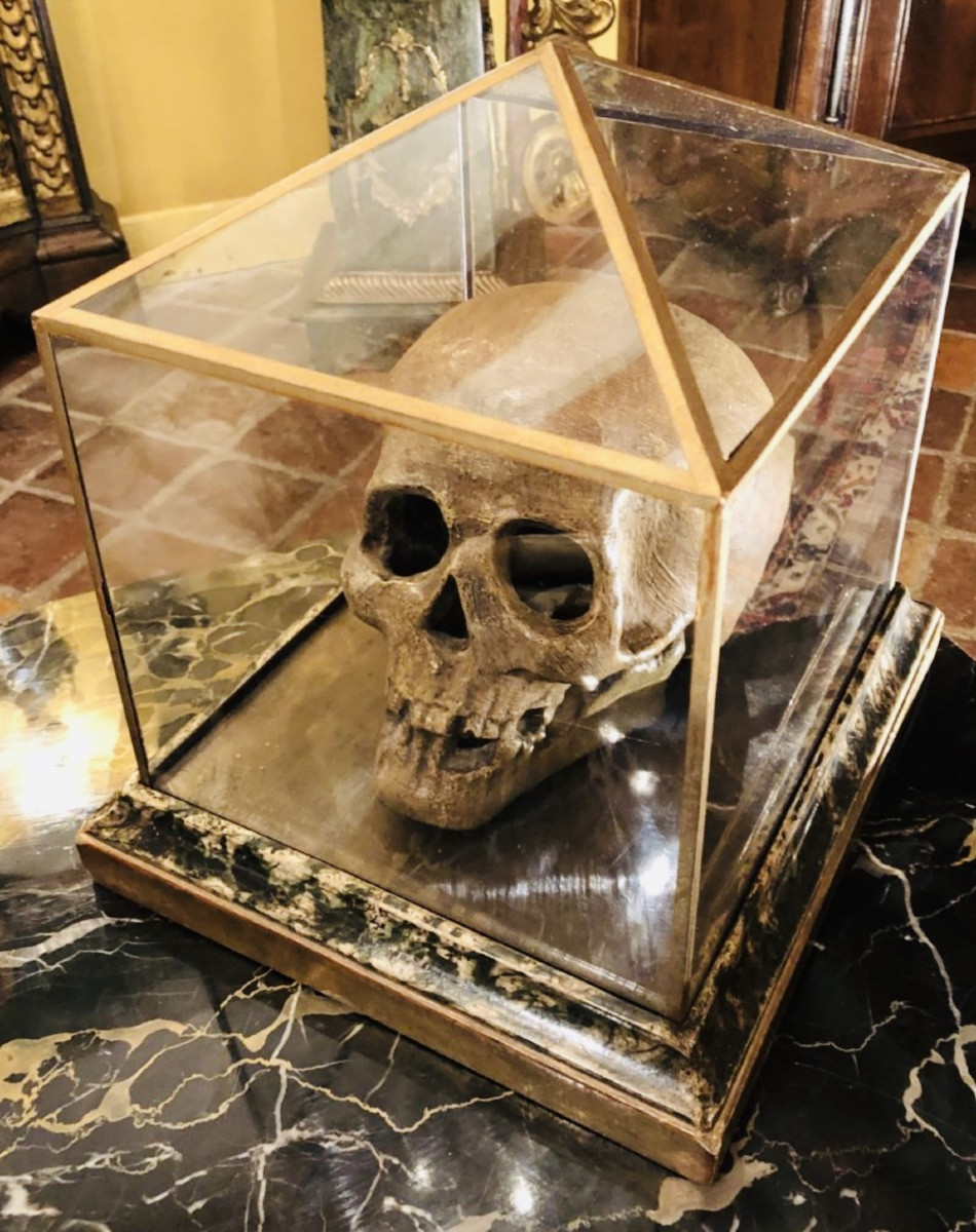 Large Skull, Vanitas, Memento Mori, 19th Century Terracotta In Its Display Case -photo-3