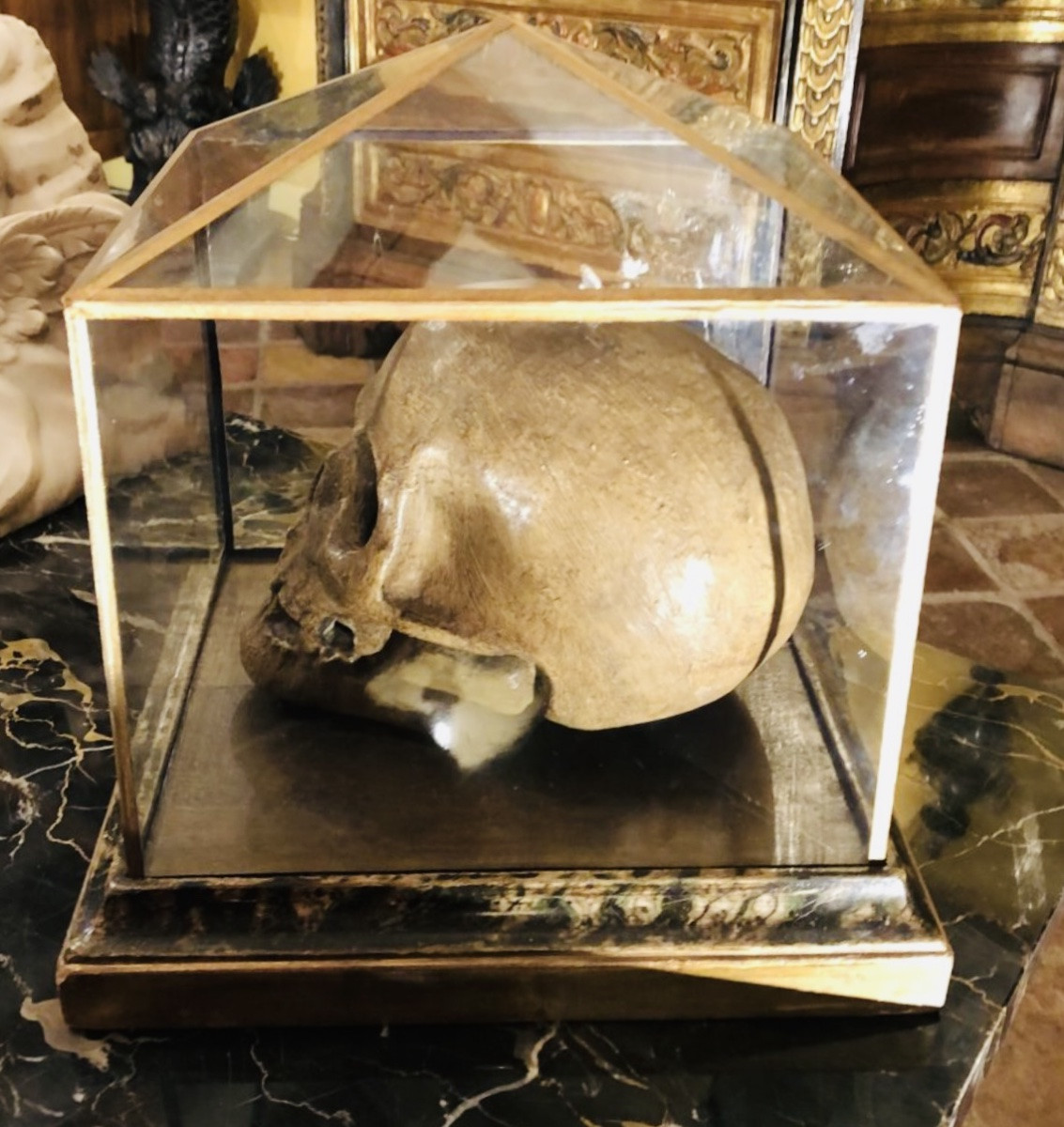 Large Skull, Vanitas, Memento Mori, 19th Century Terracotta In Its Display Case -photo-4