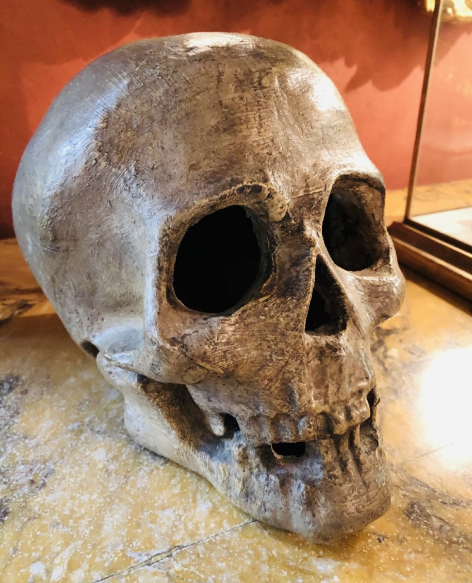 Large Skull, Vanitas, Memento Mori, 19th Century Terracotta In Its Display Case -photo-7