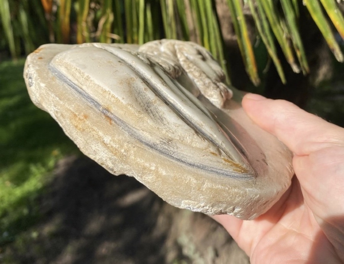 Grand camée Tondo Au Profil Du Christ En Marbre Fin Du XVII Eme Siècle Début Du XVIII Eme Siècl-photo-4