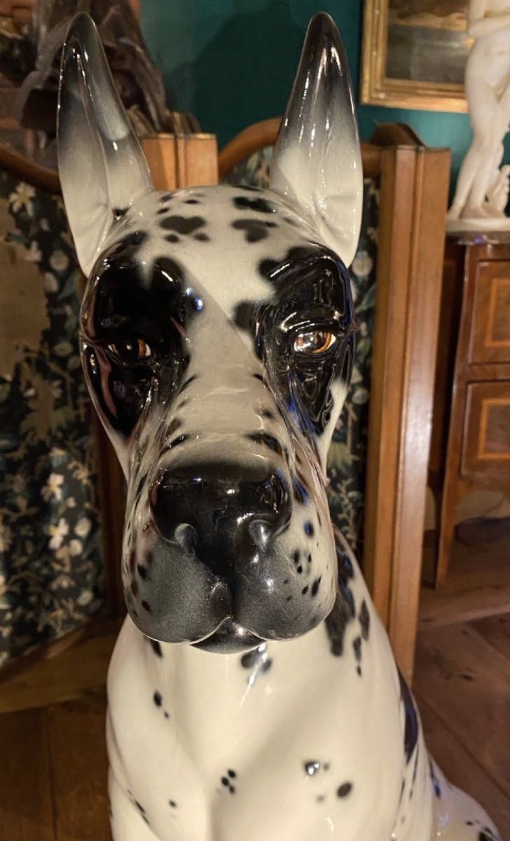 Large Harlequin Mastiff In Ceramic From The 1960s-photo-3