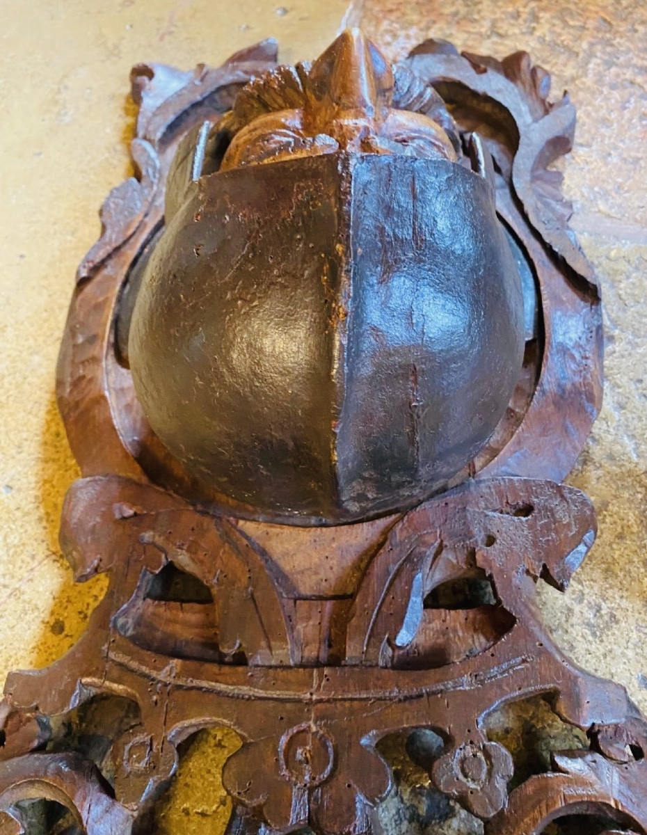 TÊTE DE GUERRIER en noyer sculpté en haut relief, XVII EME SIÈCLE-photo-4