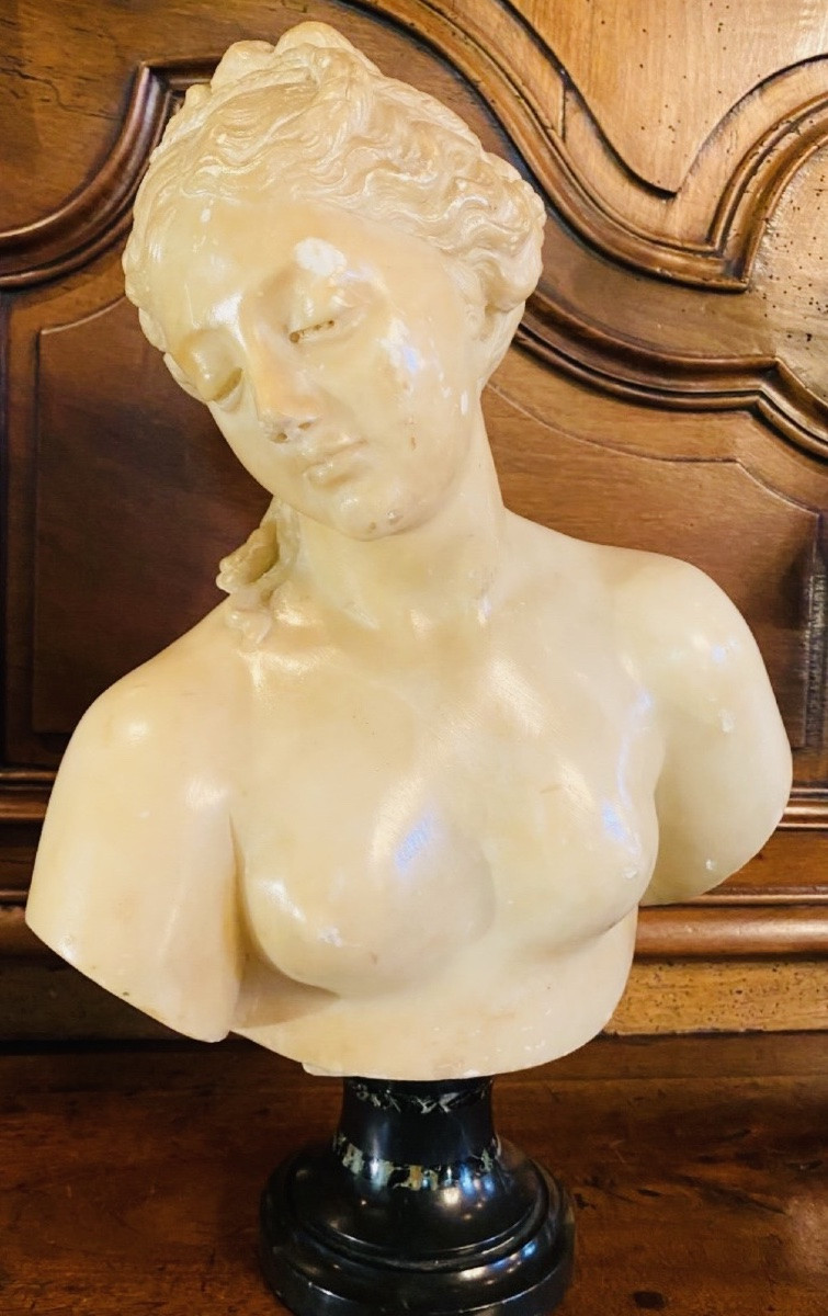 Antique-style Bust Of Venus In Translucent Marble - Souvenir Du Grand Tour, 19th Century-photo-2