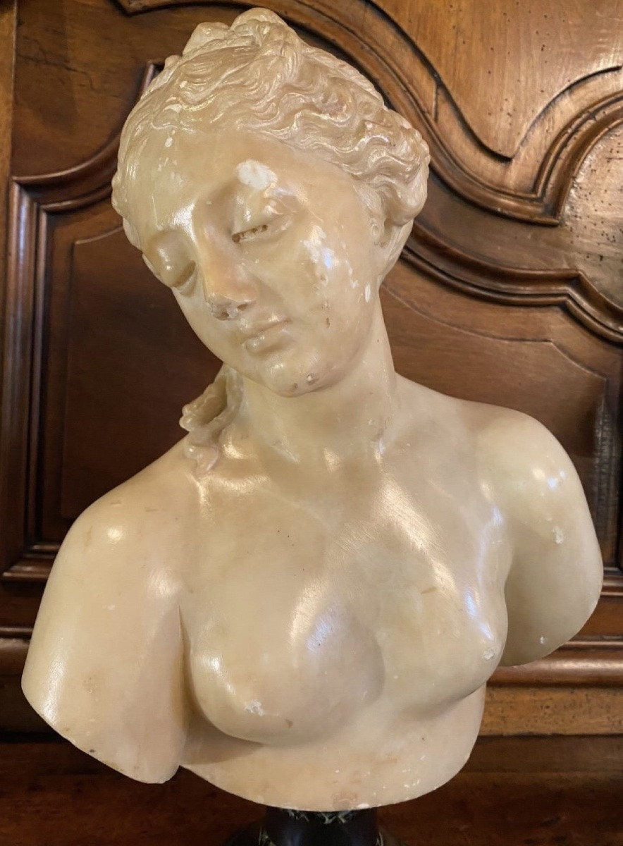 Antique-style Bust Of Venus In Translucent Marble - Souvenir Du Grand Tour, 19th Century-photo-3