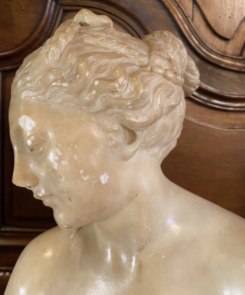Antique-style Bust Of Venus In Translucent Marble - Souvenir Du Grand Tour, 19th Century-photo-4