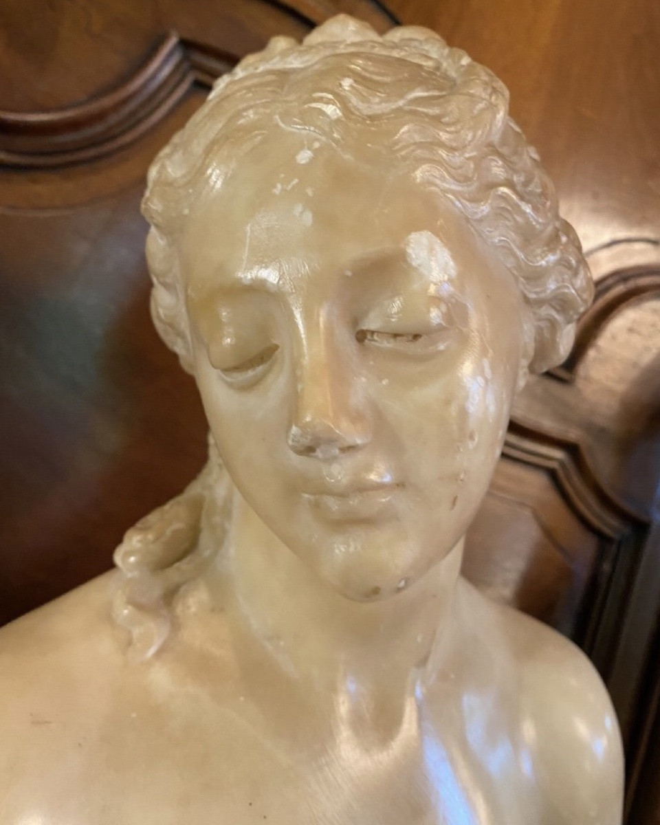 Antique-style Bust Of Venus In Translucent Marble - Souvenir Du Grand Tour, 19th Century-photo-2