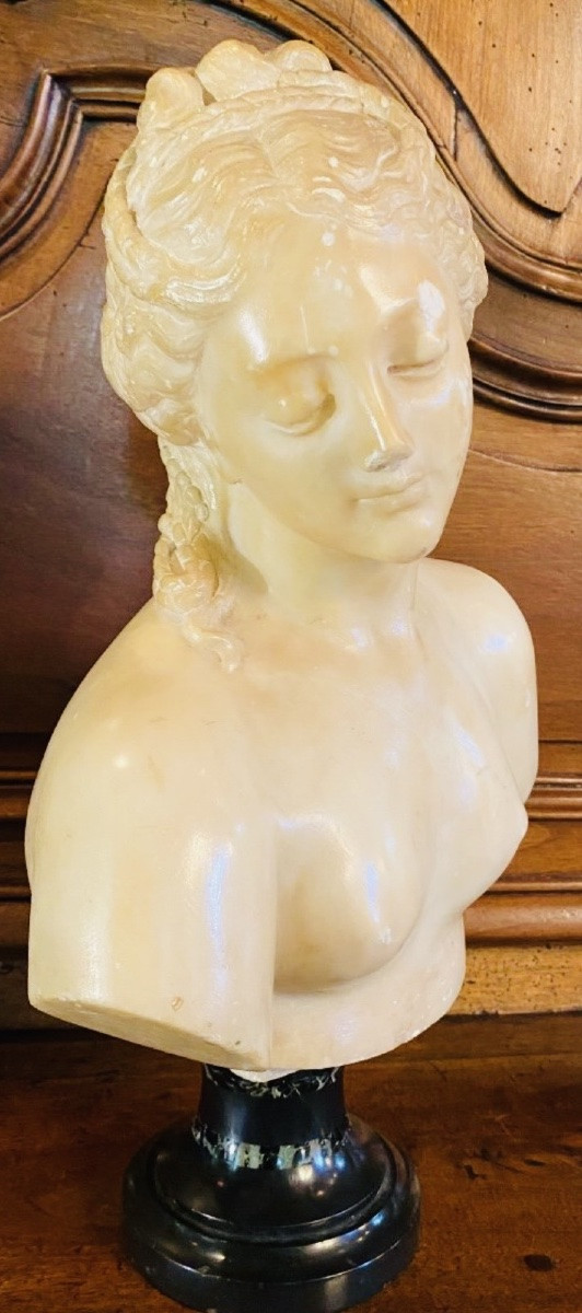 Antique-style Bust Of Venus In Translucent Marble - Souvenir Du Grand Tour, 19th Century-photo-3