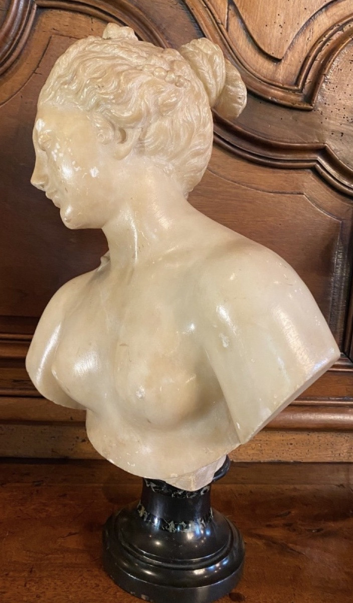 Antique-style Bust Of Venus In Translucent Marble - Souvenir Du Grand Tour, 19th Century-photo-6