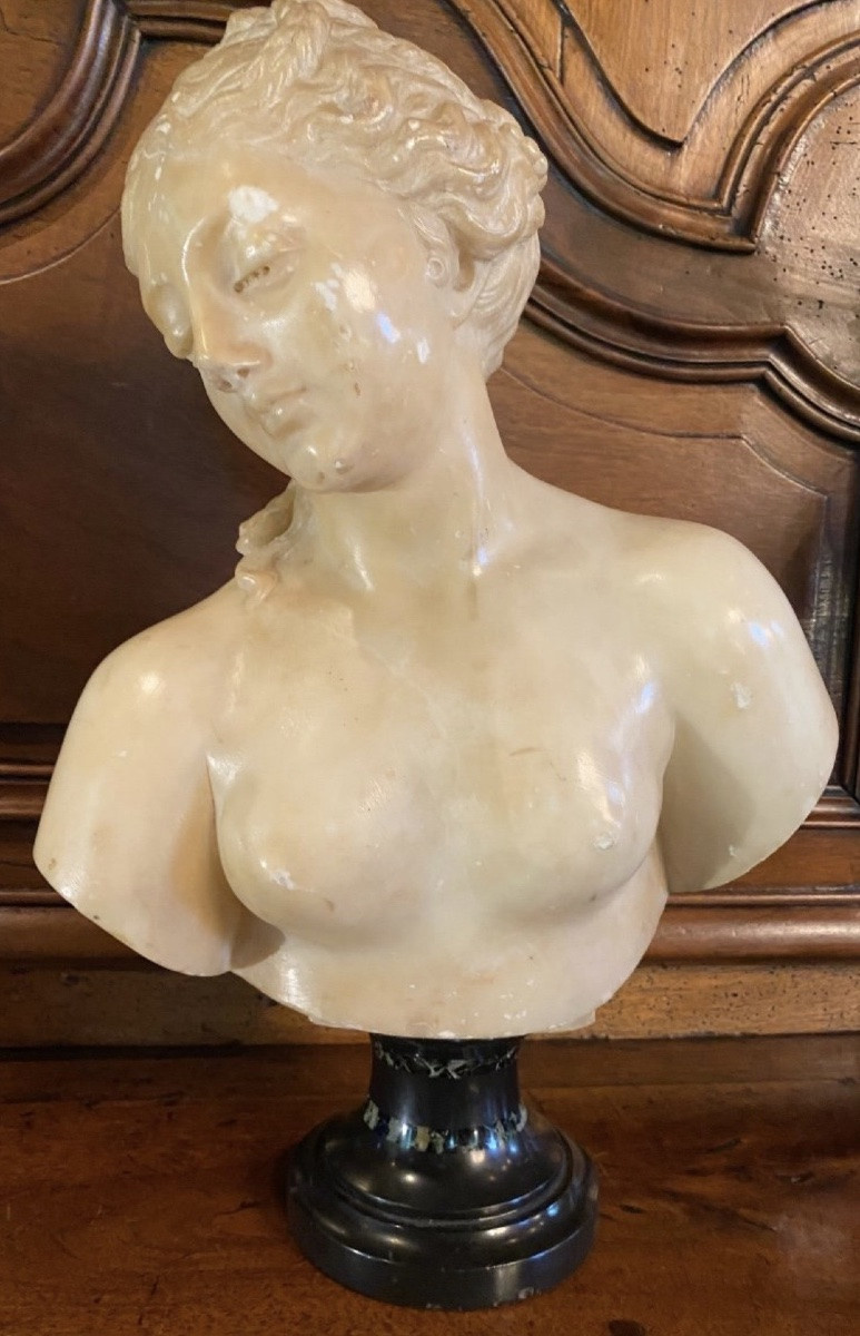 Antique-style Bust Of Venus In Translucent Marble - Souvenir Du Grand Tour, 19th Century-photo-7