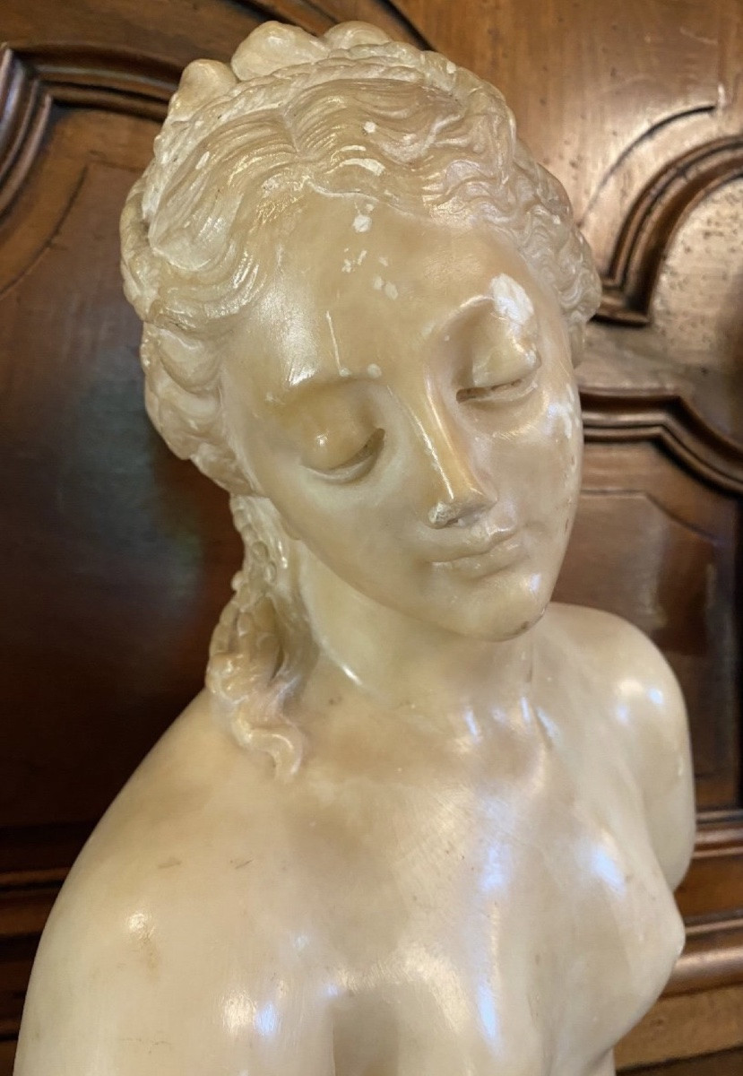Antique-style Bust Of Venus In Translucent Marble - Souvenir Du Grand Tour, 19th Century-photo-8